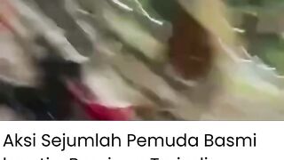 Rugi Bandar Akibat Pakan Mahal! Peternak Menjerit, Nekat Bagi-Bagi Ribuan Ayam Gratis di Malioboro 🐔💸 2