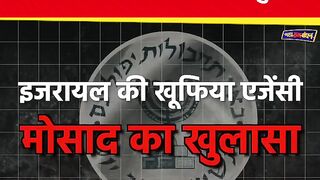 Mossad's Secret report on Hindenburg and Congress.