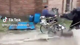 Carro desarmable