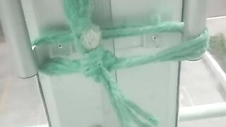 Seguro 2