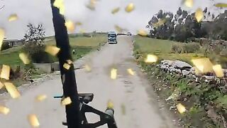 Viaje
