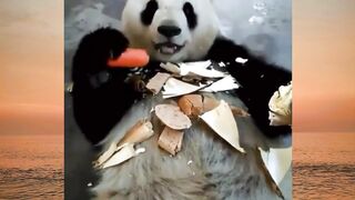 Ketika ngemil berubah jadi mode barbar! 😂🐼