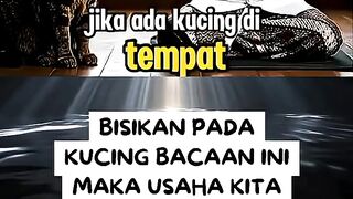 Bisikan Bacaan Ini Pada Kucing Agar Usaha Semakin Laris