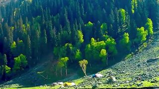 Mountain river