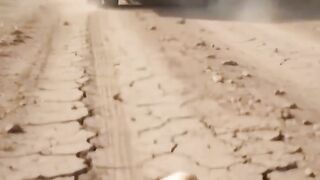 From One Tiny Seed to a Fruitful Harvest! 😱 | AI Video #shorts