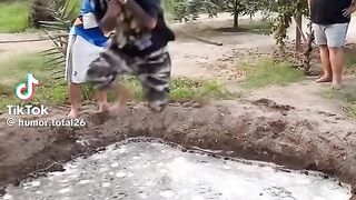 Vídeo engraçado 6