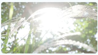 Reborn (2025) Episode 12 Eng Sub