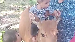 The children and animal
