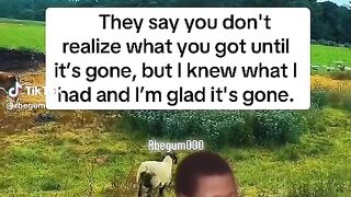 I'm glad it's gone
