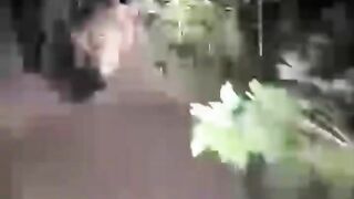 most funny 2