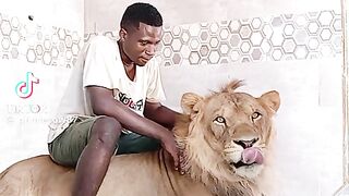 Lion play