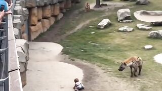 A Cheetah Saves a Child from a Fox! 😱❤️ | Incredible AI Scene #shorts