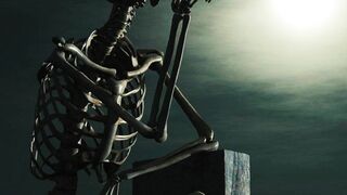 Mr skull 3
