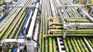 Amazing  and  Beautiful Video