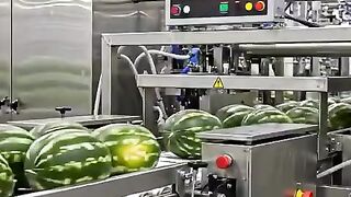 Video explaining the fruit watermelon