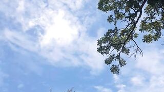 Park in a city