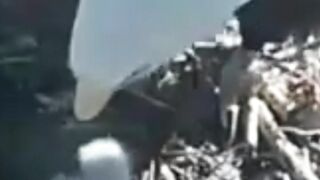 Jackie, Beloved Big Bear Bald Eagle Watched By Millions, Dies