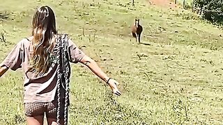 When a Horse Chooses Its Favorite Human