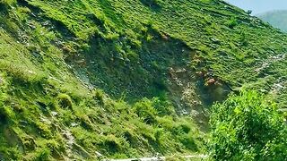 Kashmir villy 7