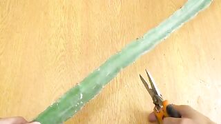 Dragon Tree for juicy fruits