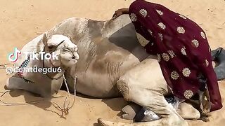 تحبش6
