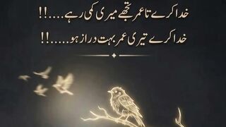 Poetry 754