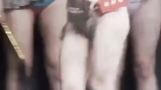Tiktok Girl Short