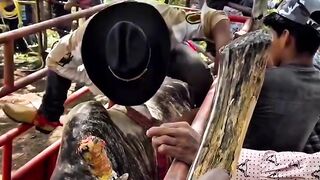 Funny videos ????????????? 2