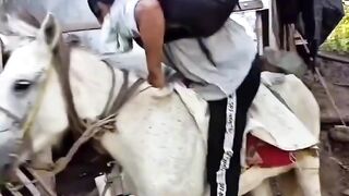 Funny videos ????????????? 3