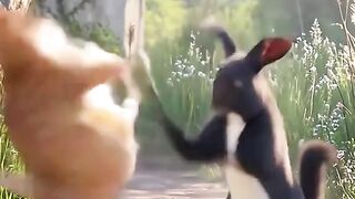 🔥 AI Cat Gone Crazy! The Ending Is Hilarious! 😹