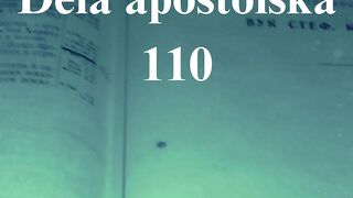 Dela apostolska 110
