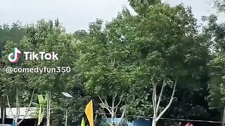 Vídeo engraçado 46