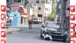 Vídeo engraçado 60