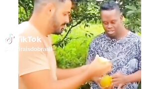 Vídeo engraçado 65