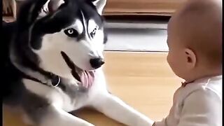 Guardian dog 2