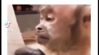 Vídeo engraçado 73