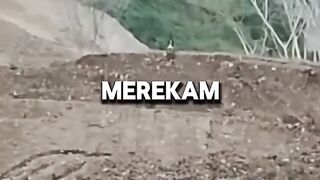 Kisah Ketabahan Mbah Sulami: Perjuangan "Manusia Kayu" Asal Sragen 🌾🕊 2