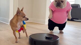 POPI & MOTI HAVING fUN
