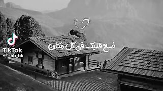 نشيد جميل 19