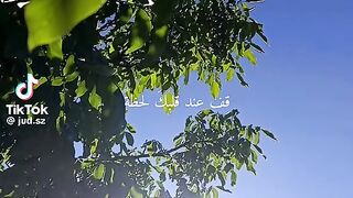 نشيد جميل 20