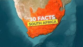 South Africa's Disappearing Floral Kingdom_ A Global Loss