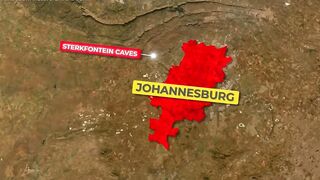 Cradle of Humankind_ Your Ancestors' Story in South Africa