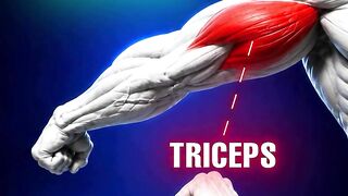 4 Exercises to Build Arm Muscle | Targeting Biceps & Triceps
