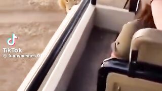 Vídeo engraçado 121