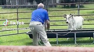 Vídeo engraçado 124