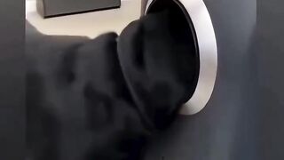 Then Pretended to DIE! 😂🤣 | Funniest Dog Ever #shorts