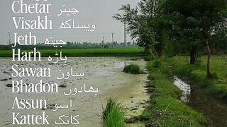 پنجابی کلینڈر