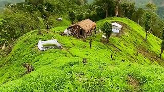 Seeing such pleasant beauty,the mind wants to get lost in the midst of nature
