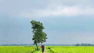 mind blowing green field