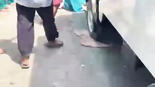 Dikatain Mbg ngga enak oleh Siswi Supir Melindas nya
